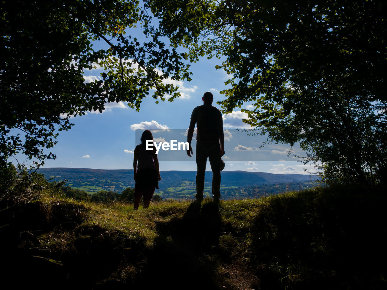 Rear view of people walking on grass against trees