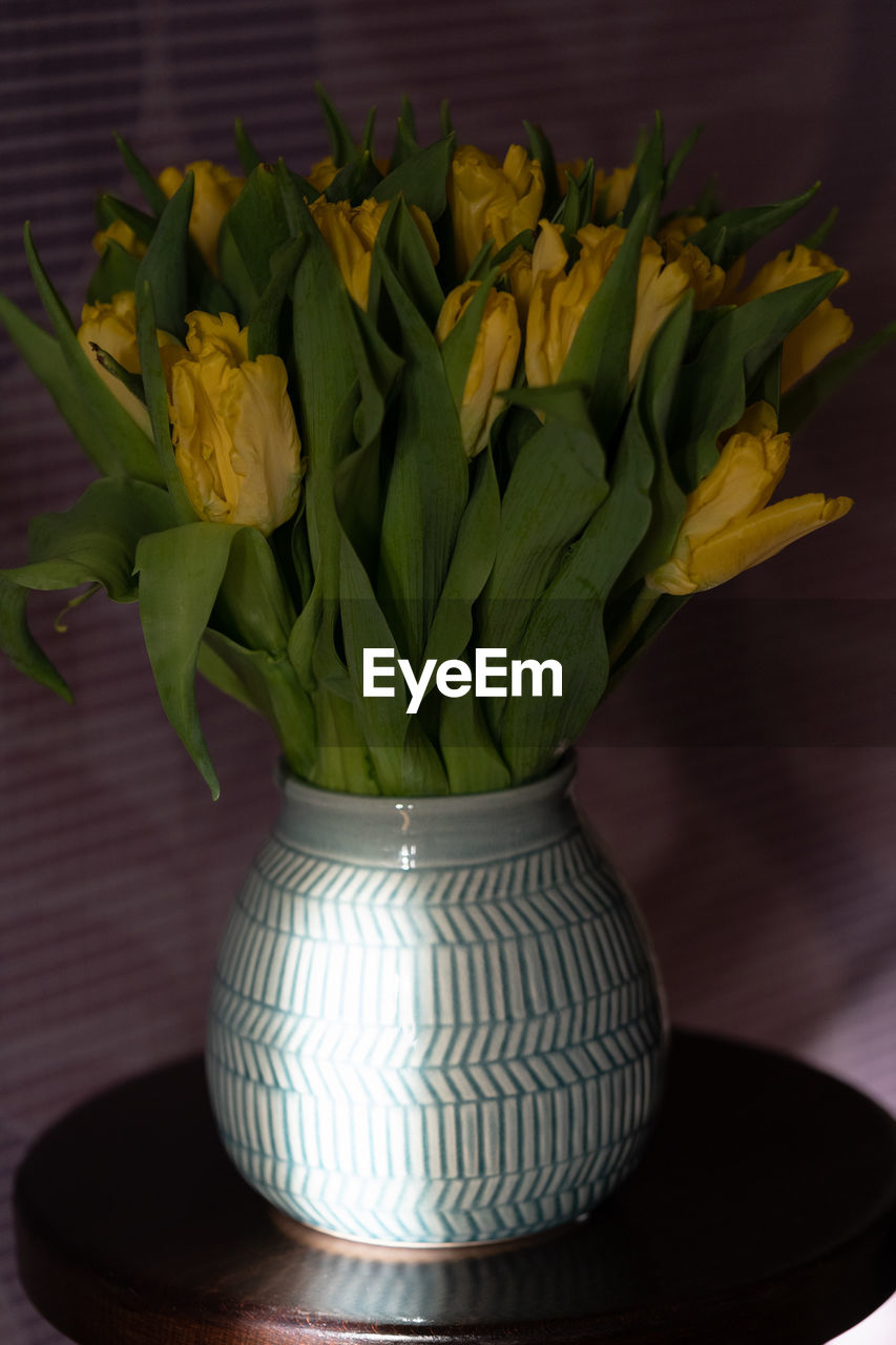 CLOSE-UP OF VASE ON TABLE AGAINST WALL