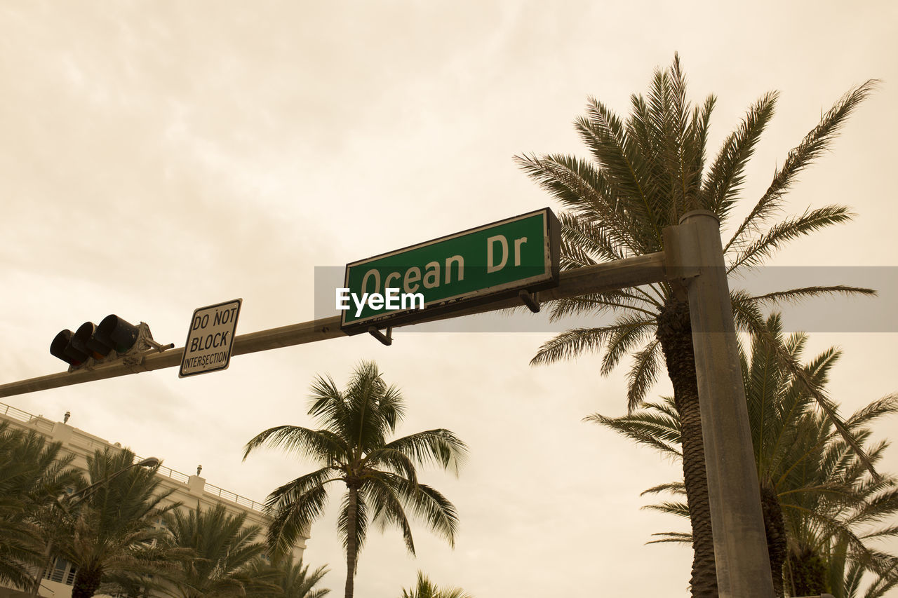 LOW ANGLE VIEW OF PALM TREES AGAINST SKY