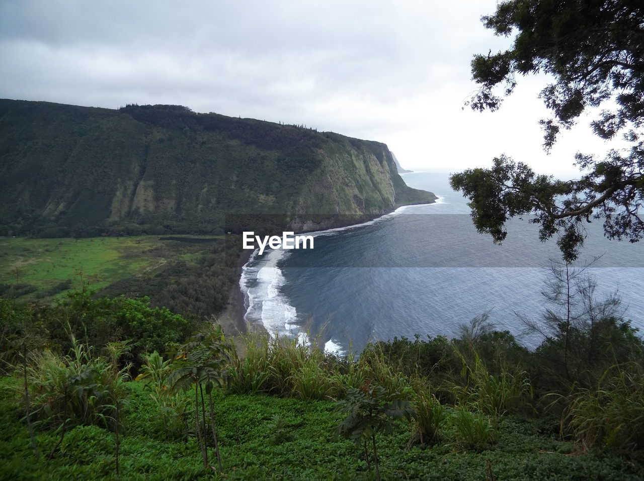 SCENIC VIEW OF WATERFALL