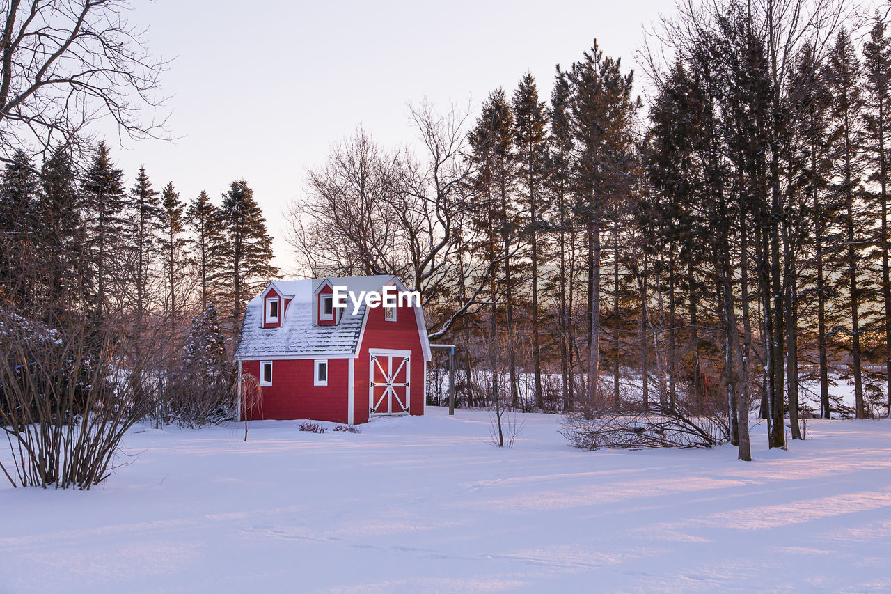 Early winter morning view of small red barn in field with mixed trees covered in fresh snow