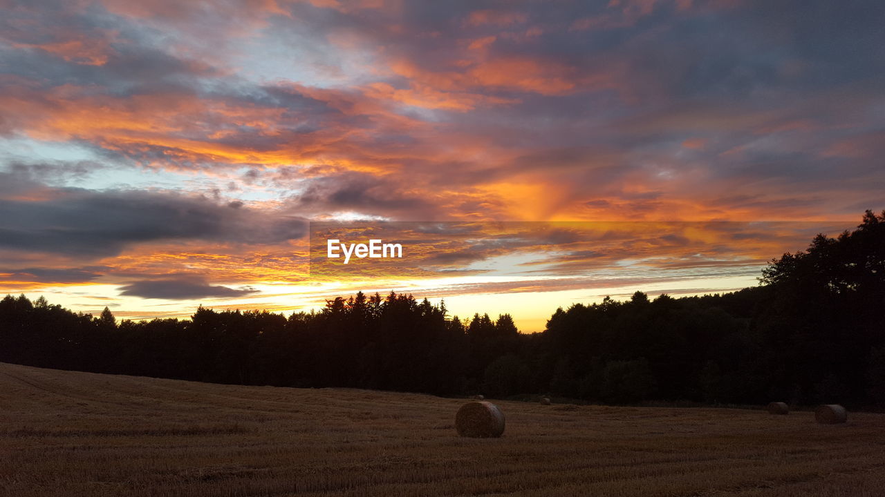 SCENIC VIEW OF FIELD AGAINST ORANGE SKY