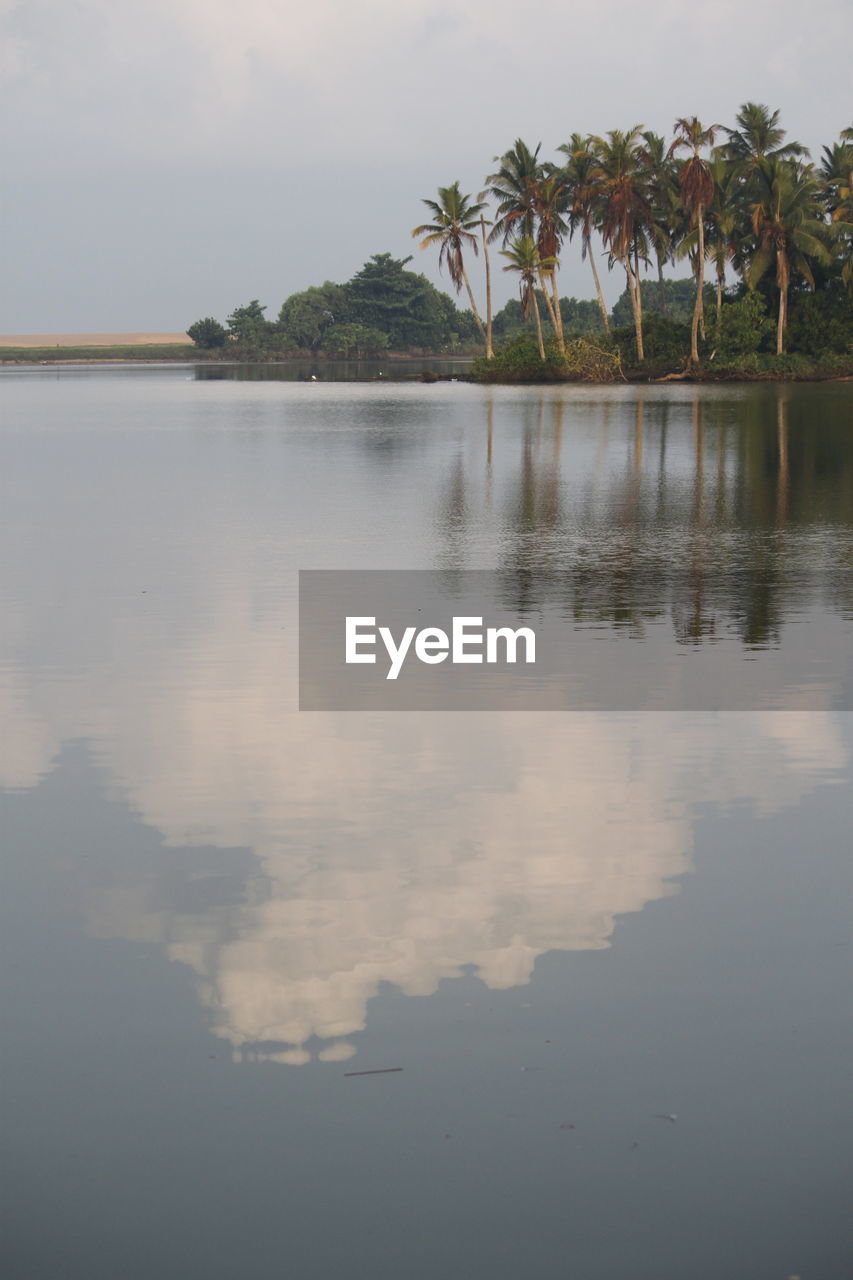 Scenic view of lake by palm trees against sky at kerala