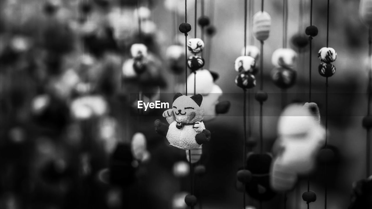 Close-up of stuffed toy hanging at market stall