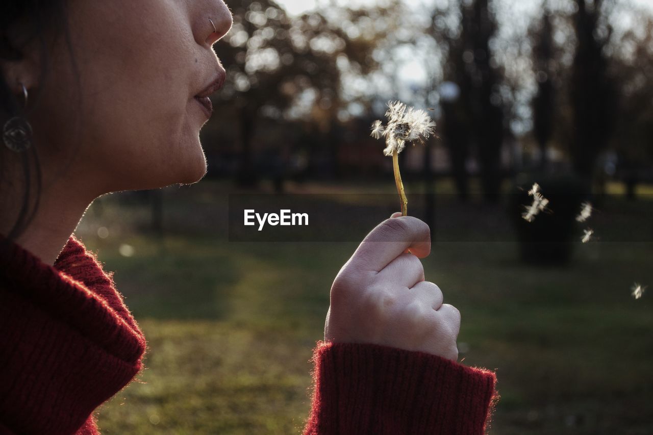 Close-up of woman blowing dandelion