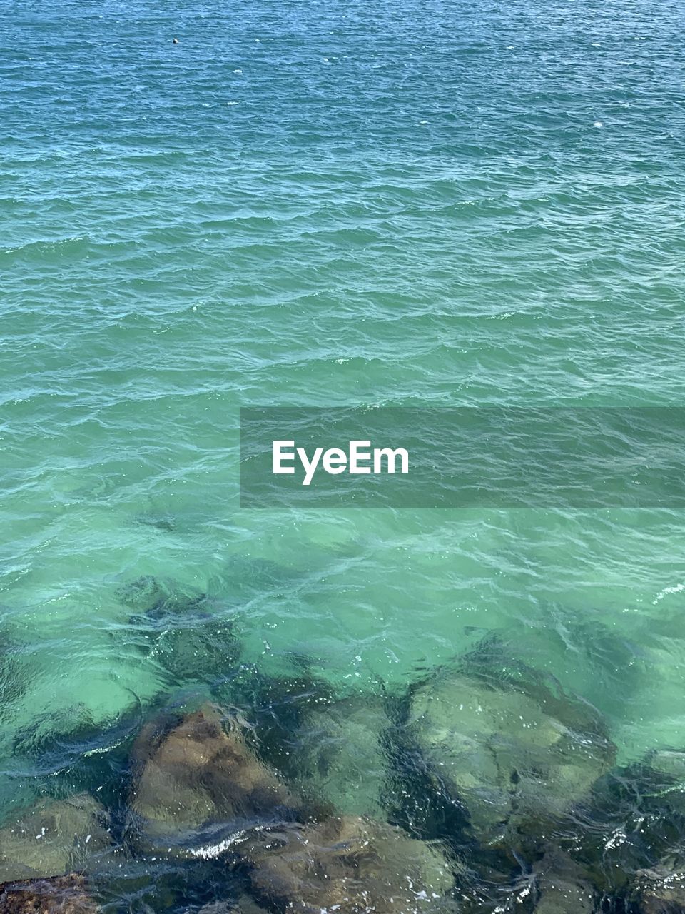 water, nature, sea, day, underwater, no people, high angle view, outdoors, beauty in nature, full frame, backgrounds, wave, motion, swimming, transparent, turquoise colored, marine biology