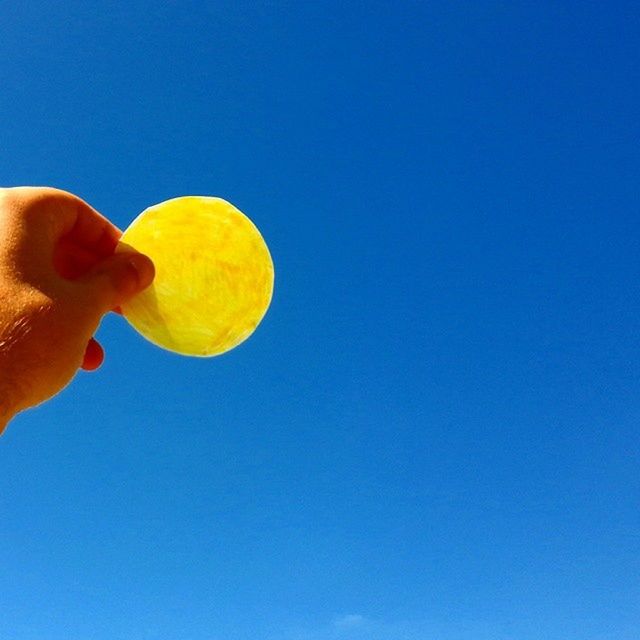 VIEW OF YELLOW FLOWERS AGAINST BLUE SKY