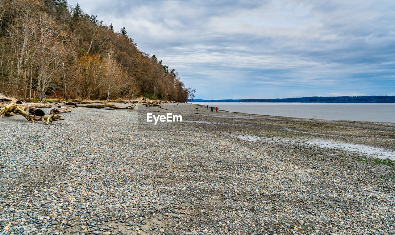 shore, land, water, beach, sea, body of water, sky, coast, nature, scenics - nature, beauty in nature, sand, cloud, tranquility, environment, landscape, travel destinations, tranquil scene, coastline, ocean, travel, no people, tree, plant, tourism, holiday, bay, outdoors, day, non-urban scene, vacation, trip, idyllic, rock, seascape, water's edge, wave, summer, island