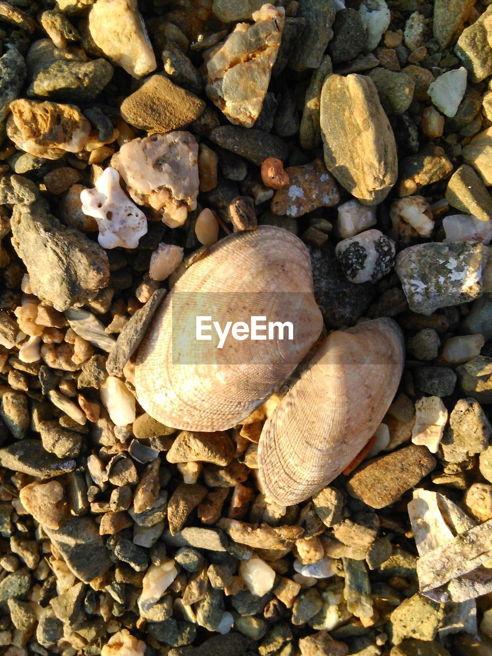 HIGH ANGLE VIEW OF PEBBLES ON BEACH