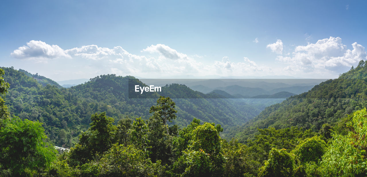 Panoramic view of trees and mountains against sky