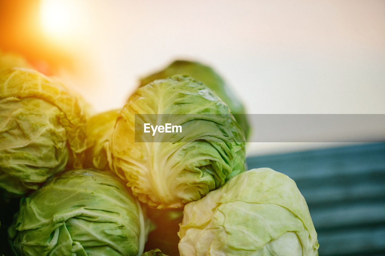 Green cabbage at farmers' market