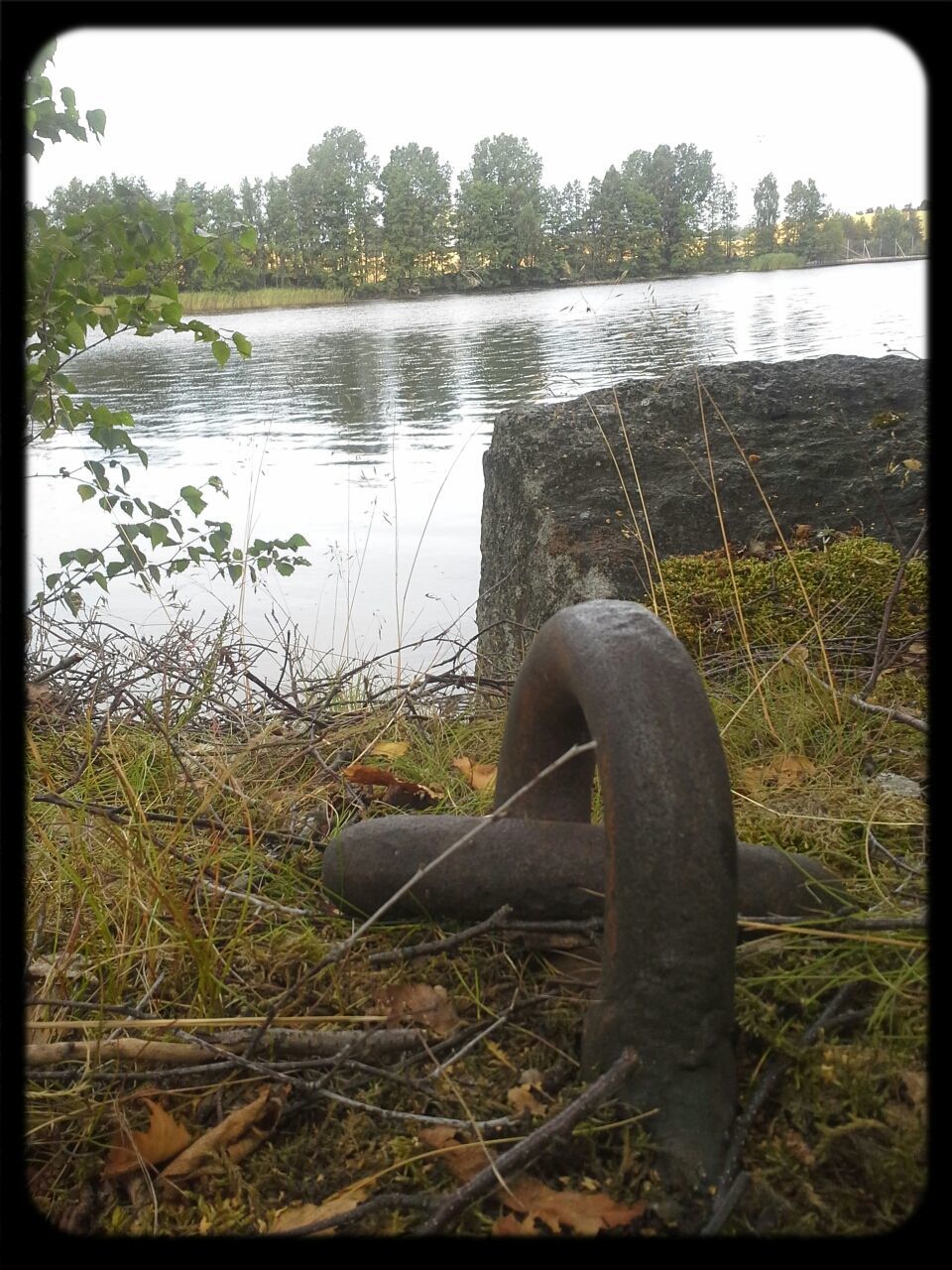 VIEW OF LAKE WITH TREES IN BACKGROUND