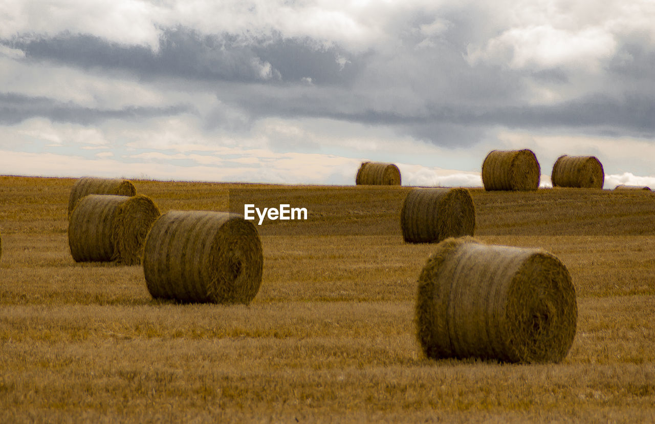 Hay bales on field against sky