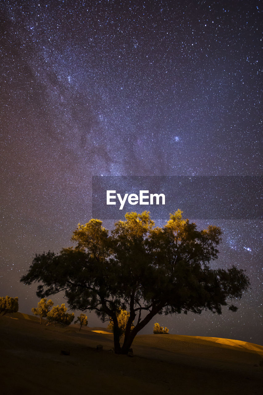 Tree on land against star field at night