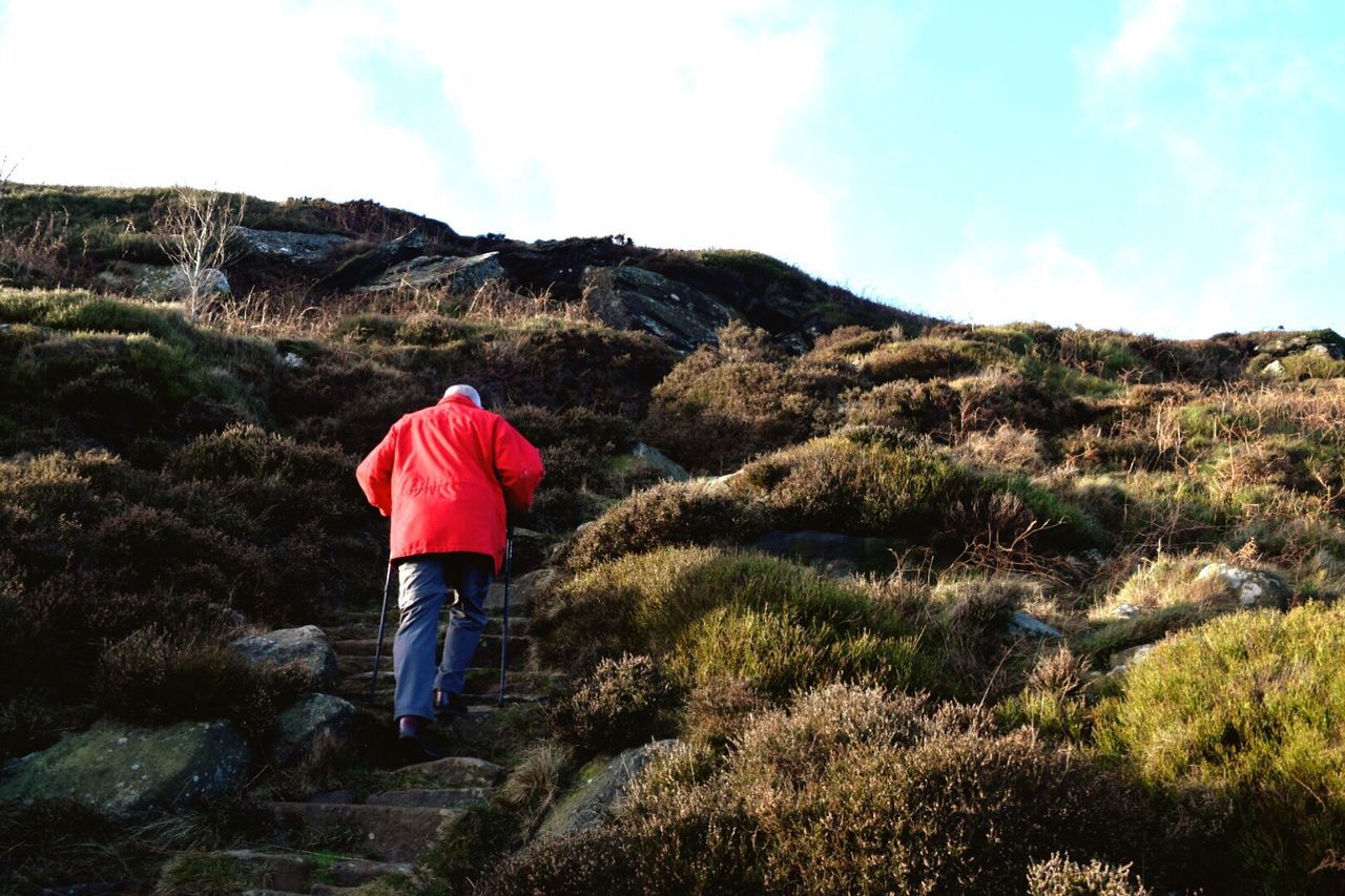 Rear view of person climbing steps on mountain