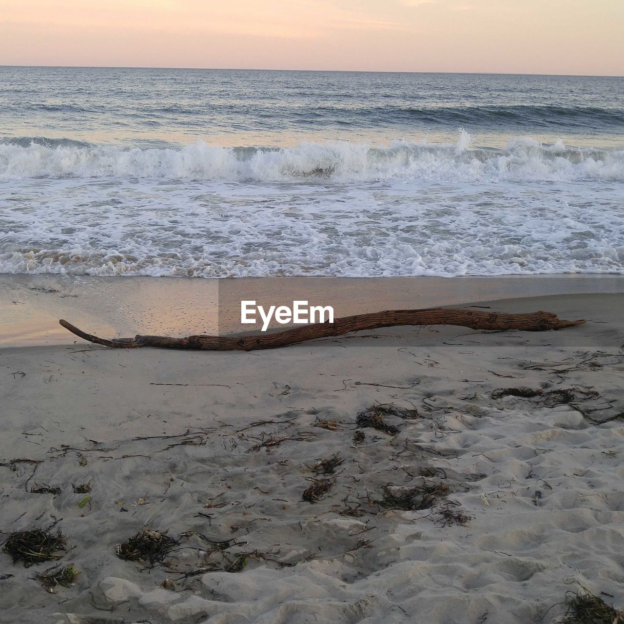 SCENIC VIEW OF BEACH DURING SUNSET