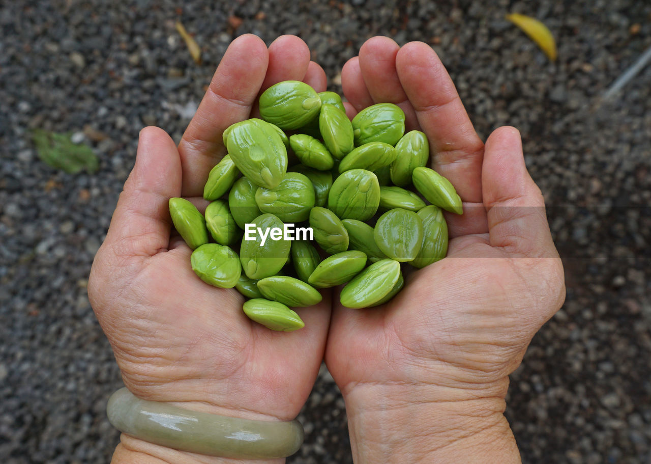 HIGH ANGLE VIEW OF PERSON HAND HOLDING GREEN CHILI