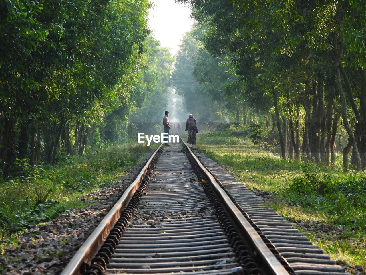  view of people walking on railroad track amidst trees