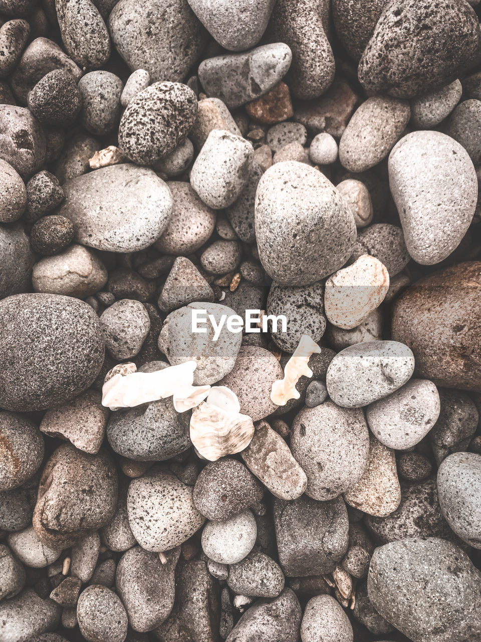 High angle view of stones on pebbles