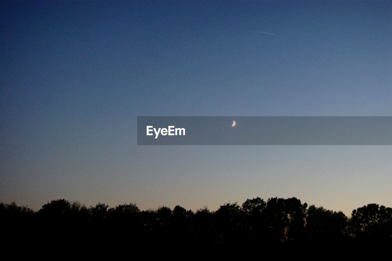 SILHOUETTE TREES AGAINST CLEAR SKY AT DUSK