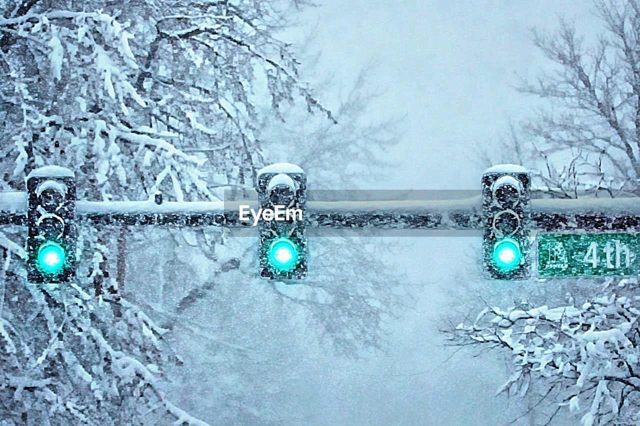 Green lights against frozen bare trees during winter