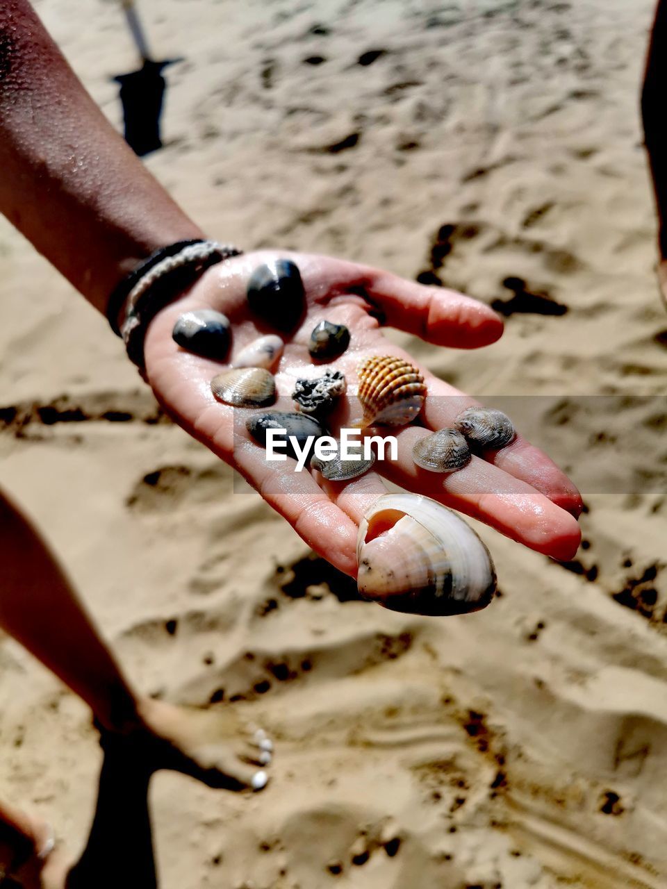 PERSON HOLDING CRAB AT BEACH