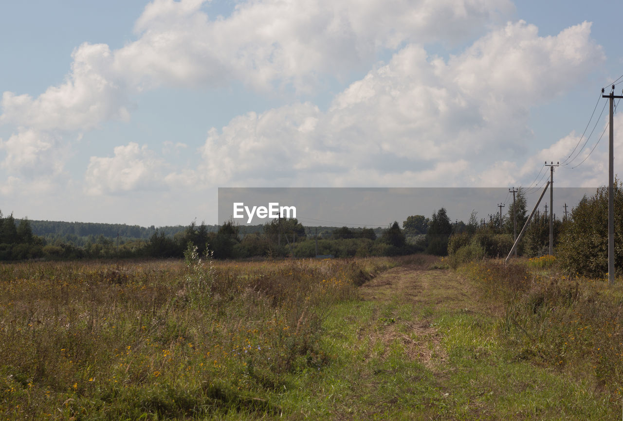 FIELD AGAINST SKY