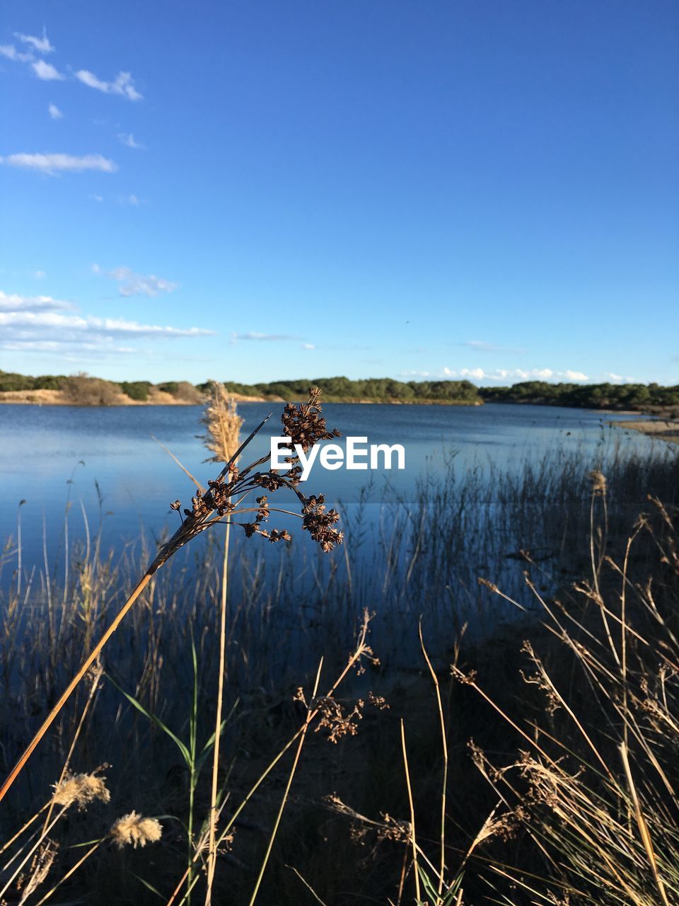 Scenic view of calm lake