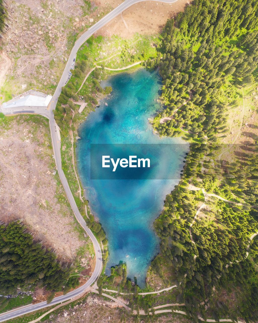 Aerial view of lake by trees on landscape