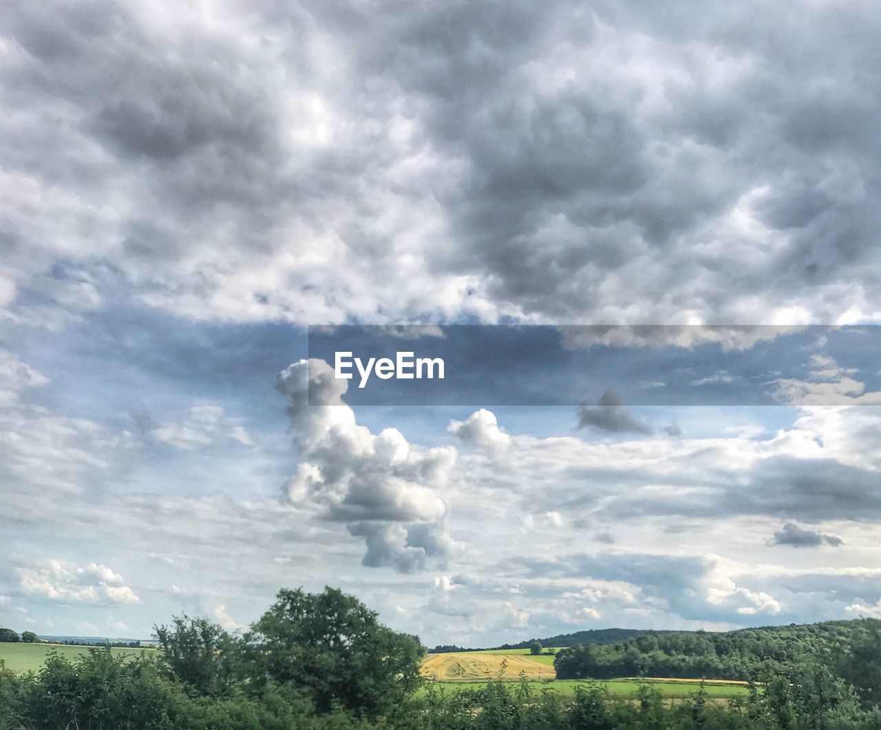 Low angle view of trees against sky