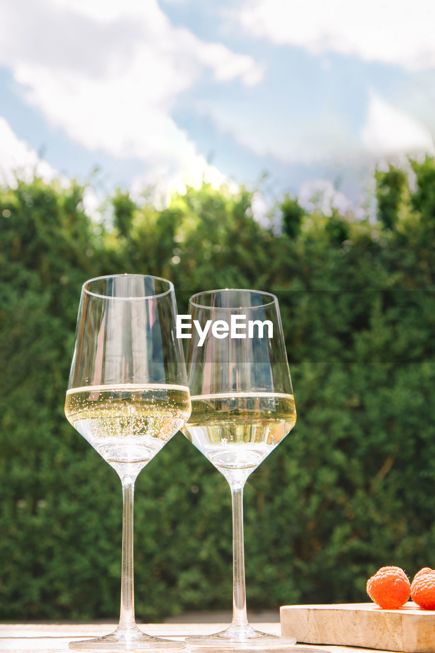 Two glasses of white wine on a wooden table against a green hedge and blue sky