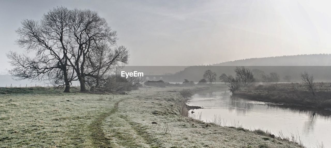 Stream by bare trees against sky during foggy weather