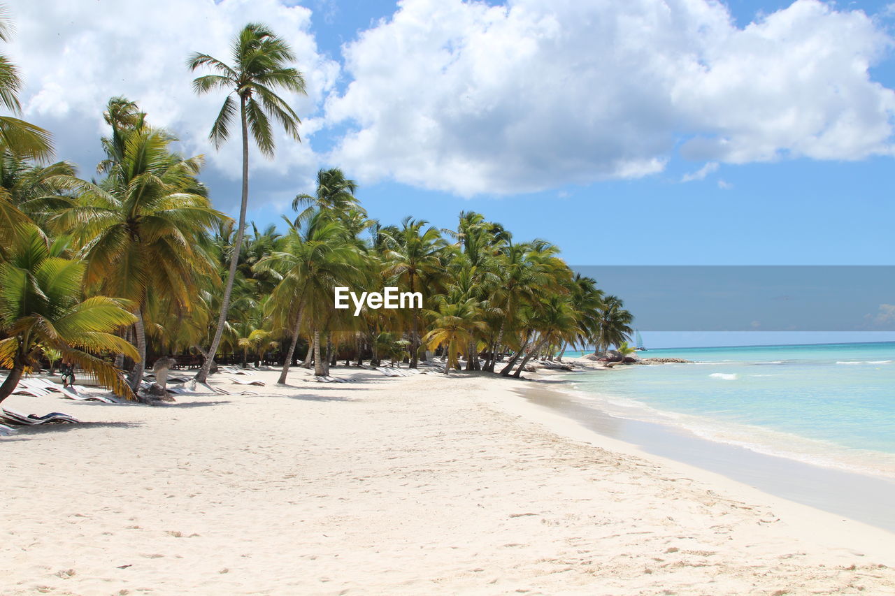 Palm trees on sunny idyllic beach