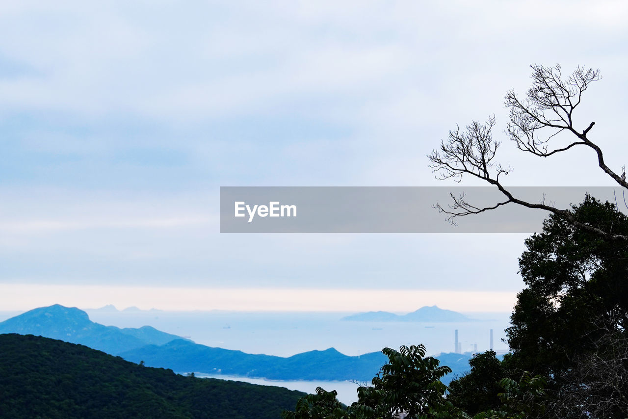 tree, sky, nature, mountain, plant, scenics - nature, beauty in nature, cloud, environment, landscape, tranquility, mountain range, tranquil scene, no people, land, outdoors, non-urban scene, travel destinations, forest, morning, travel, idyllic, horizon, day, silhouette, tourism, pinaceae, coniferous tree