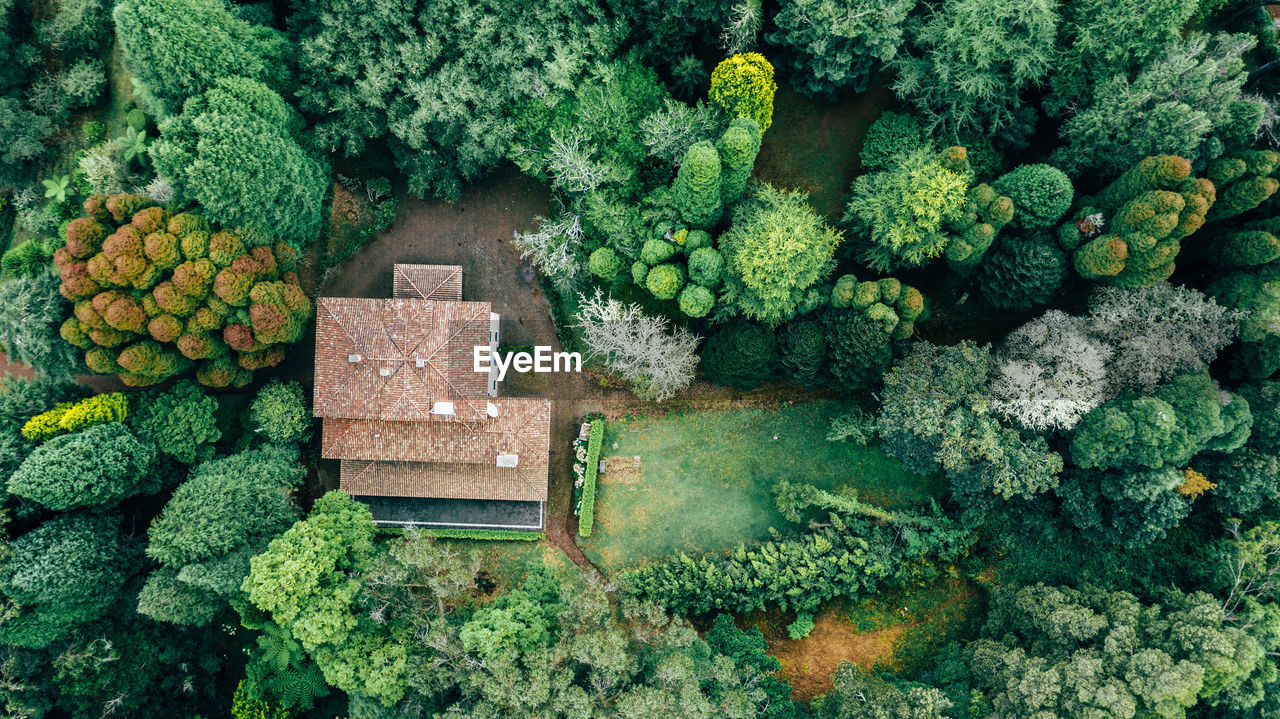 Drone aerial view of red roof tile house surrounded by trees