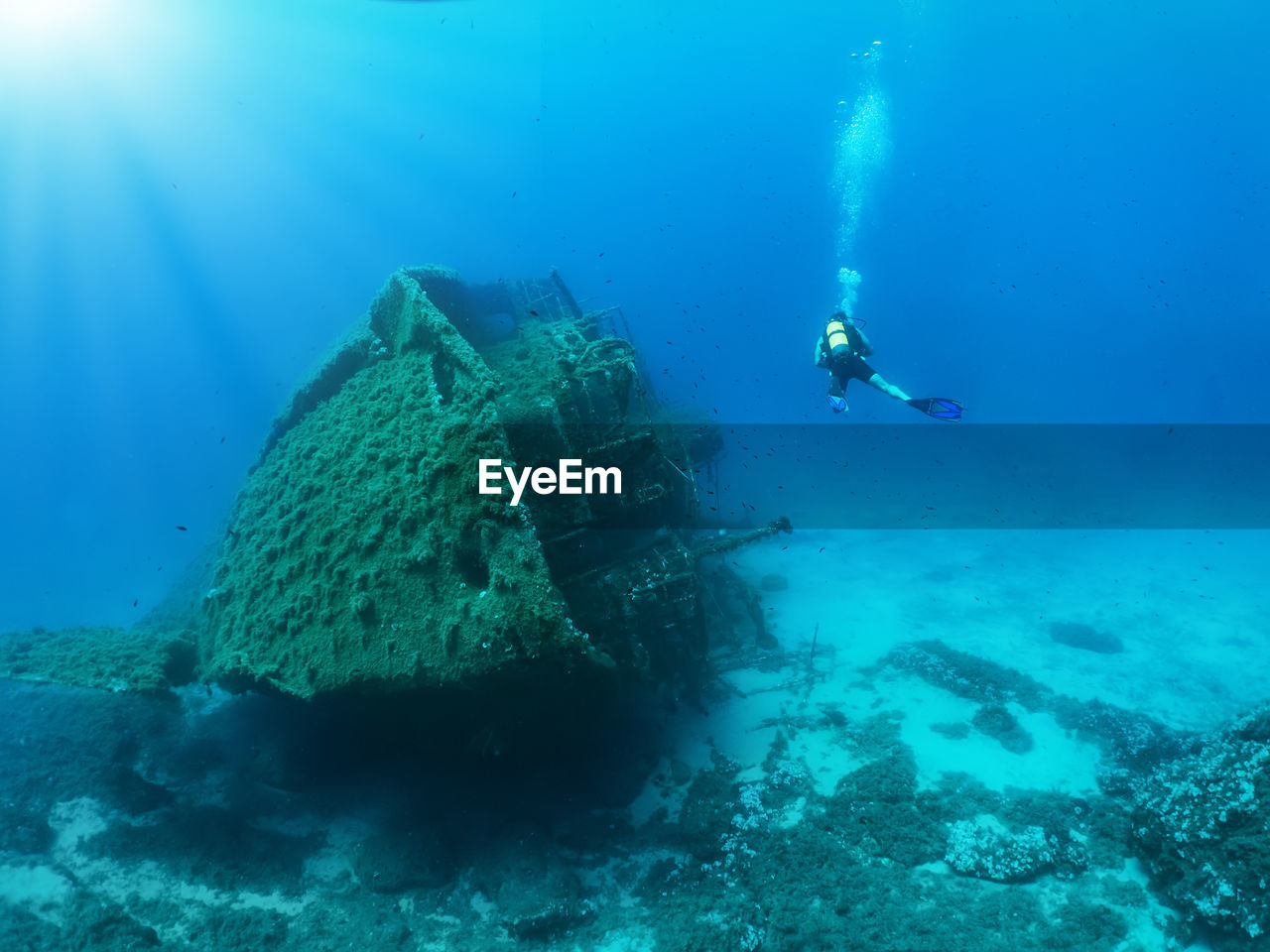 Person scuba diving in sea