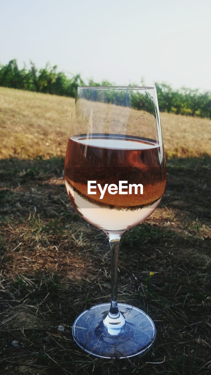 CLOSE-UP OF BEER IN WINEGLASS AGAINST SKY