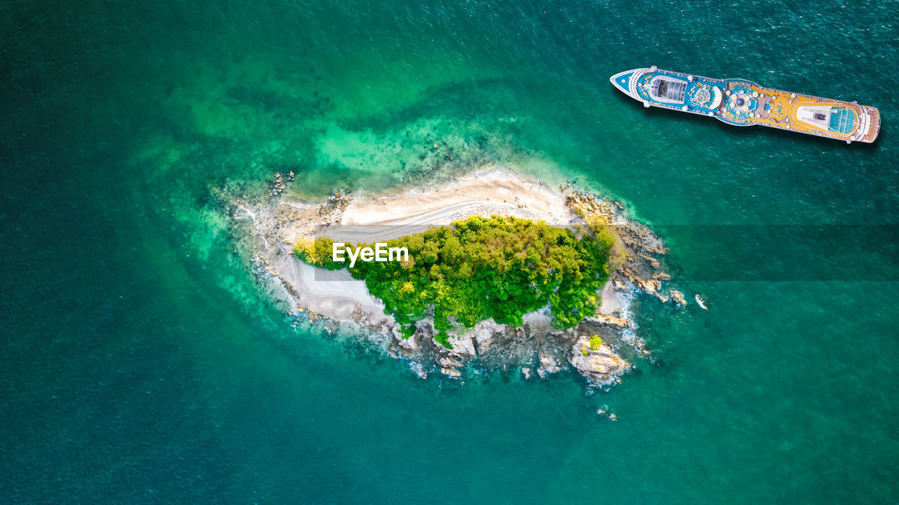 HIGH ANGLE VIEW OF CORAL IN WATER