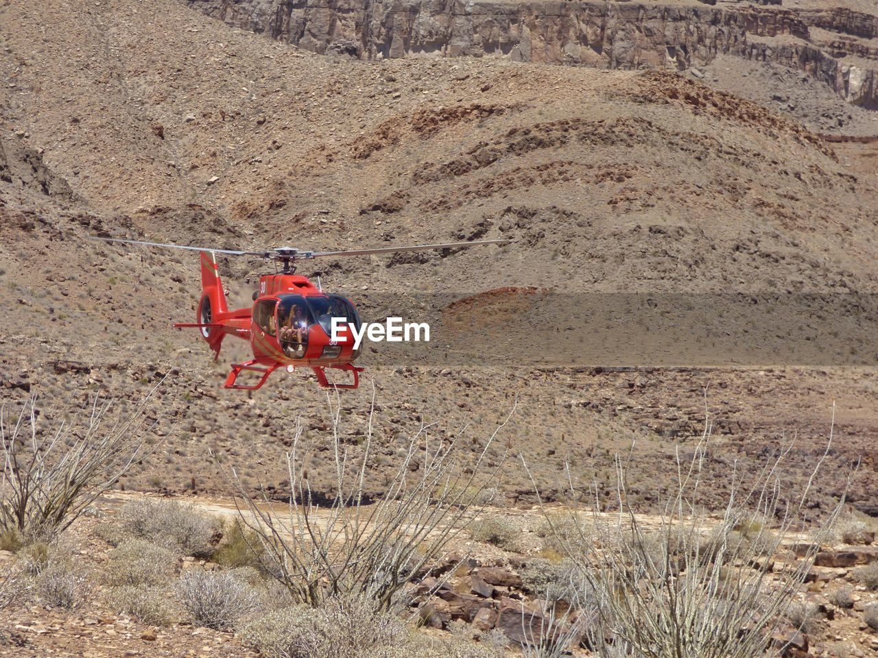 Helicopter landing on field