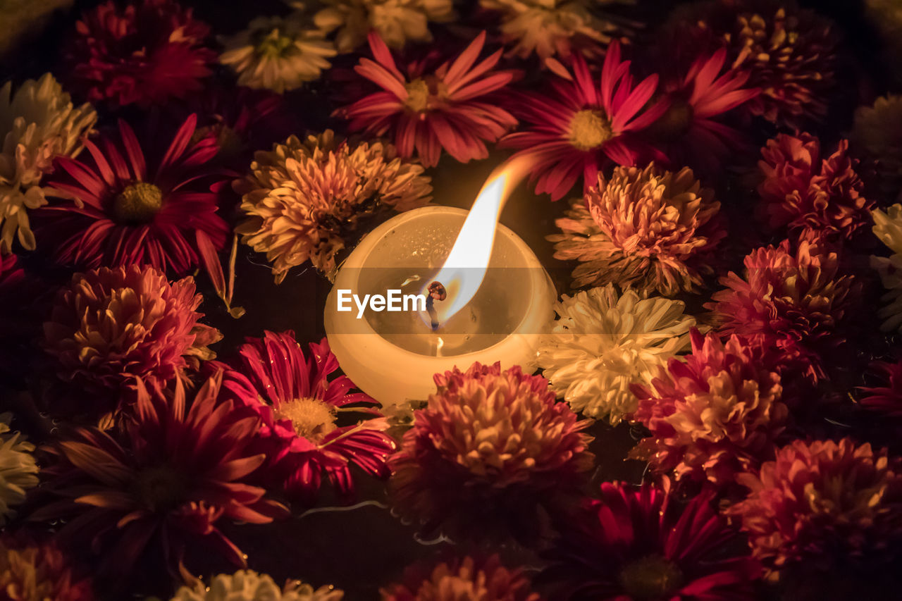Close-up of burning candle amidst flowers
