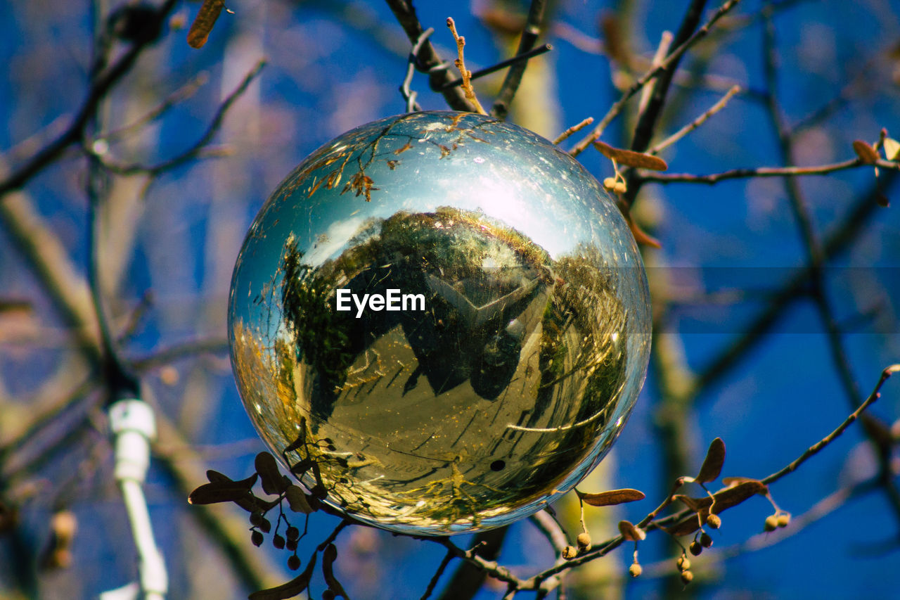 LOW ANGLE VIEW OF CRYSTAL BALL AGAINST TREES
