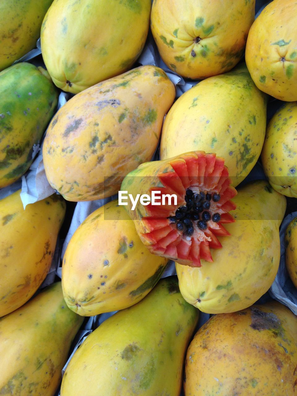 Papayas for sale at market stall