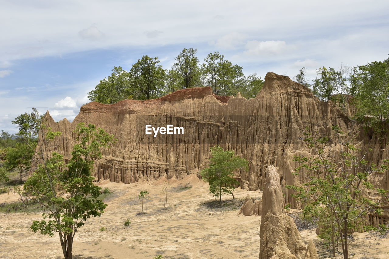 VIEW OF TREES ON LANDSCAPE AGAINST SKY