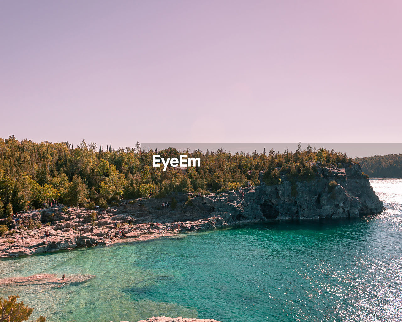 SCENIC VIEW OF SEA AND TREES AGAINST CLEAR SKY