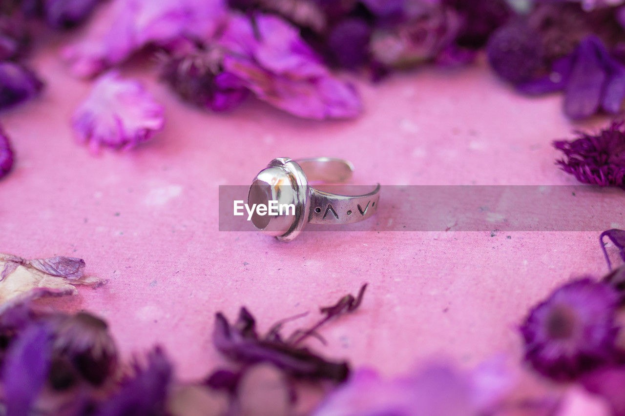 purple, petal, pink, jewellery, reef, flower, violet, animal, no people, jewelry, nature, animal themes, fashion accessory, selective focus, macro photography, animal wildlife, lilac, close-up, lavender, beauty in nature