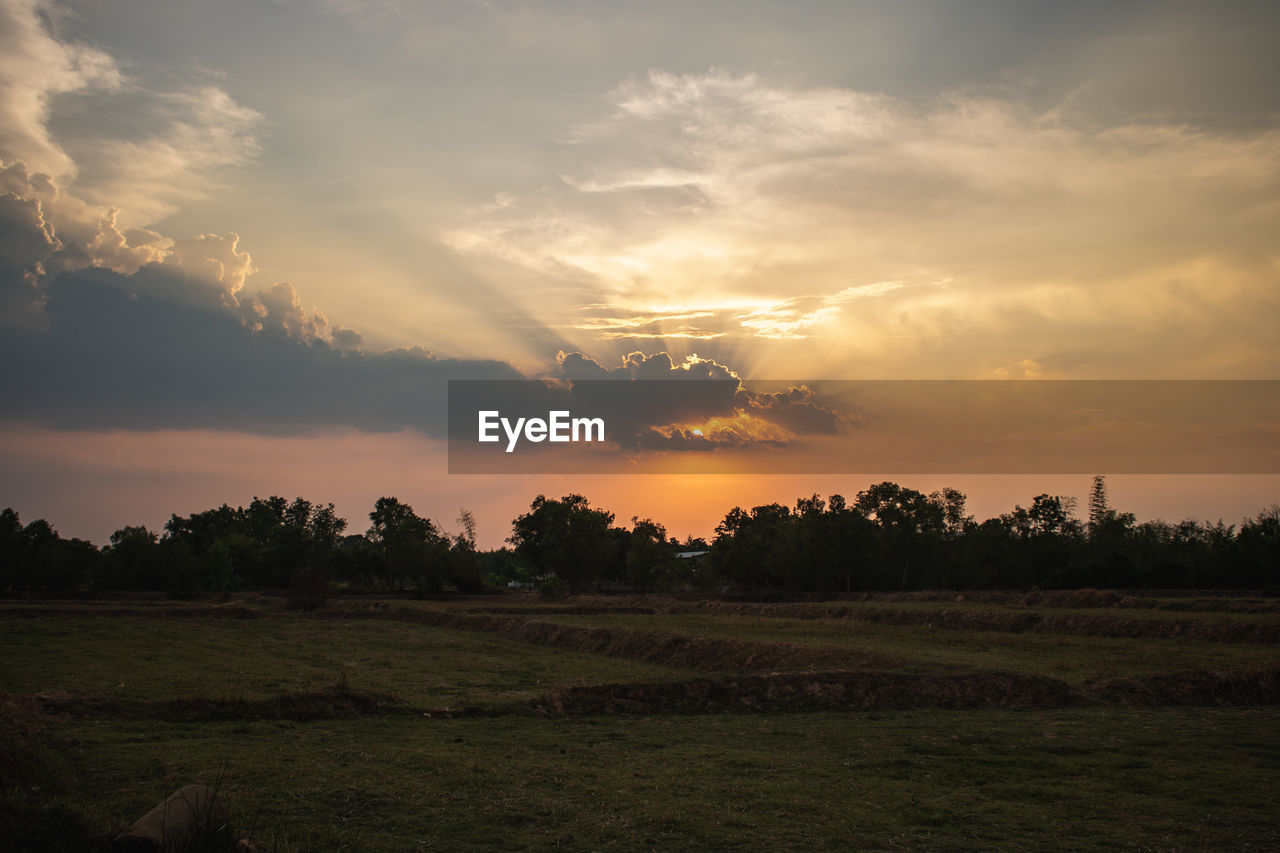 Scenic view of field against sky during sunset