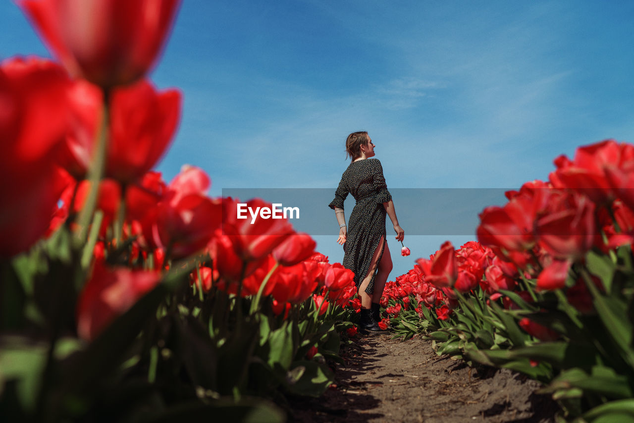 Woman standing by red flowering plants against sky