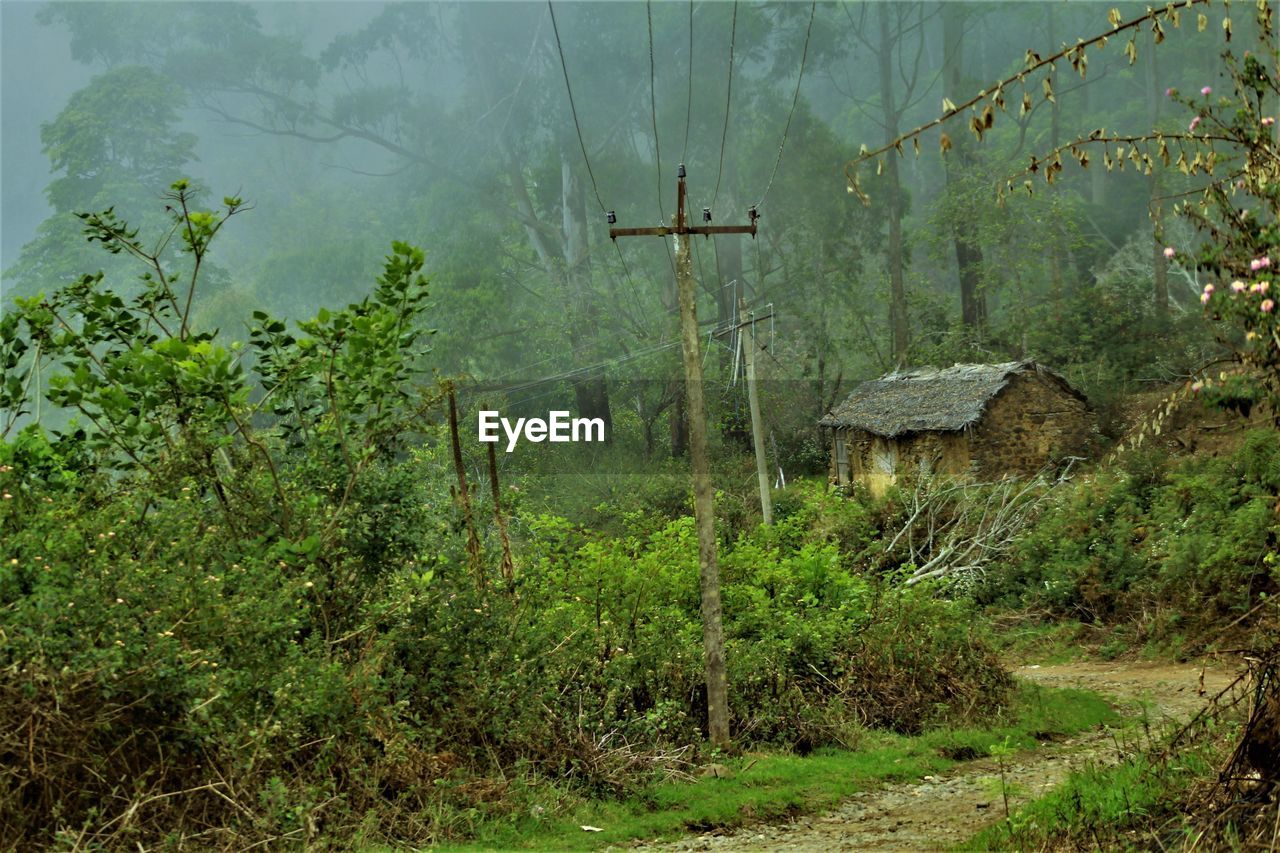 Scenic view of tree mountains against sky