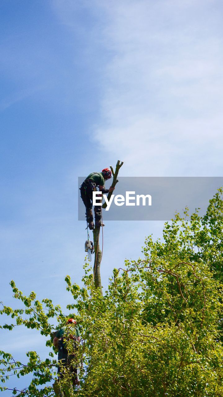 Low angle view of lumberjack on tree against sky
