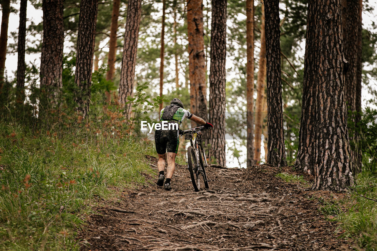 Rear view of man with bicycle in forest